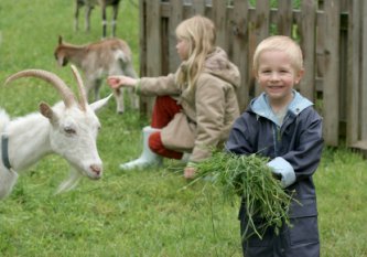 kids enjoying the day at a local petting zoo