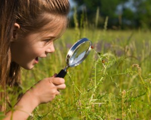 girl-exploring-outside girl exploring the outdoors - great summer fun and learning opportunity