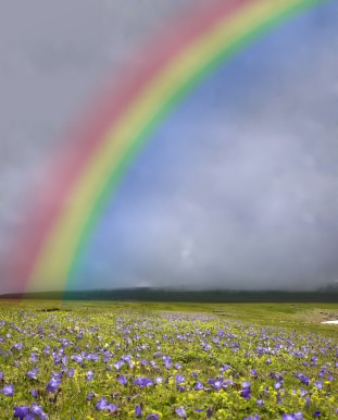 The Child and the Rainbow 7 Beautiful Rainbow