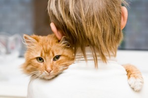 boy-with-his-cat boy with his cat