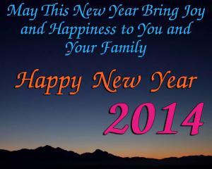 10 Ways to Give Back in 2014 7 happy-new-year-2014