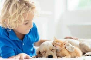 child with pets