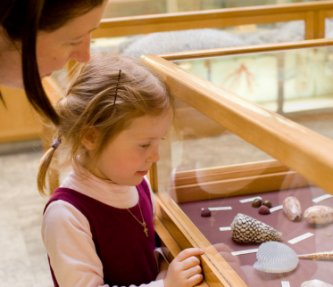 girl visiting a zoological museum