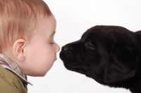 When Baby and Pet Meet 4 baby and puppy