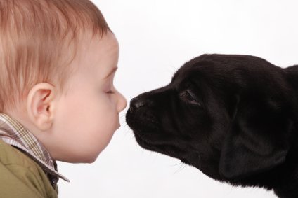 When Baby and Pet Meet 7 baby and puppy