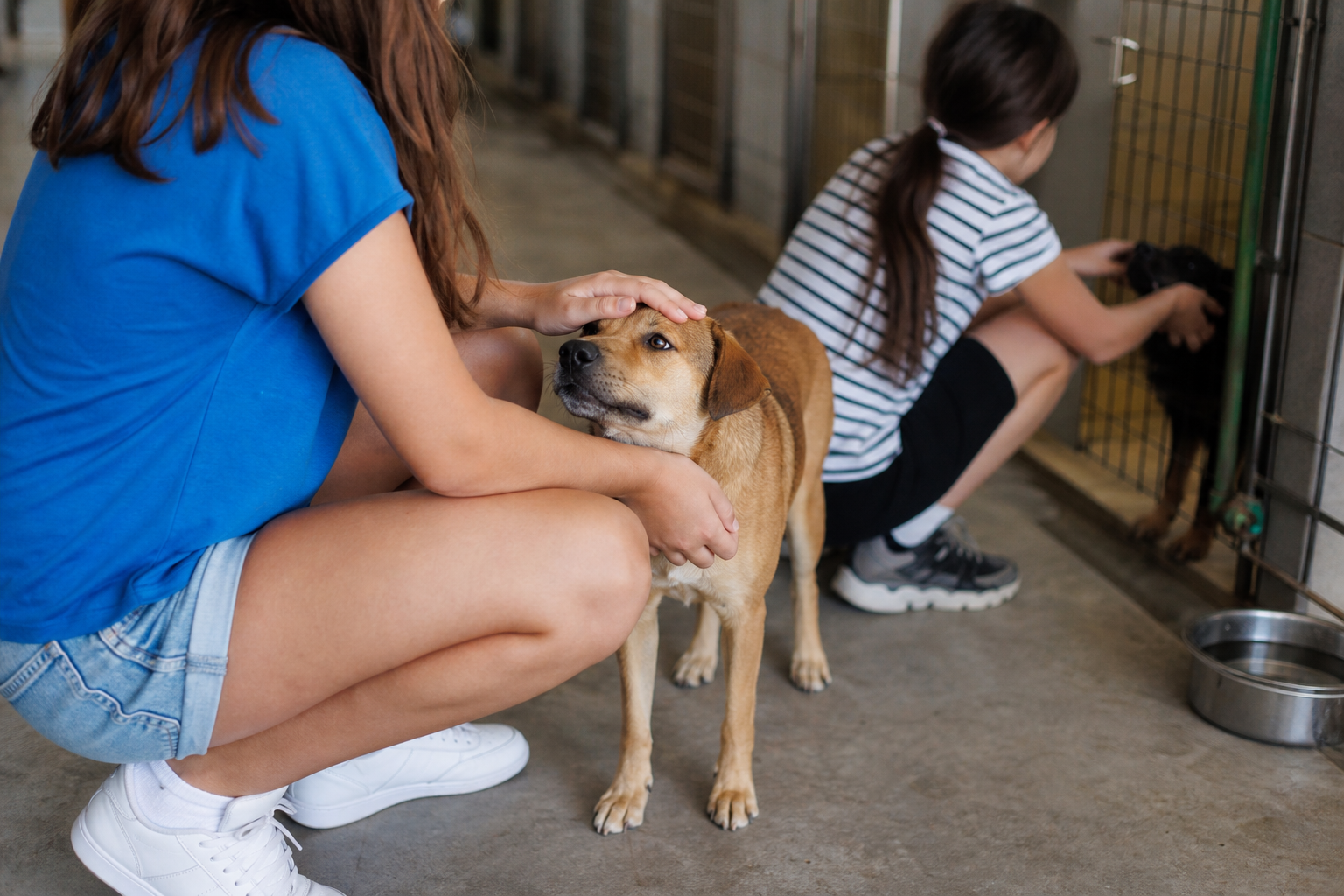 Parenting Tips of the Week: Teaching Compassion by Being Kind to Animals 16 Children learning compassion by helping care for animals