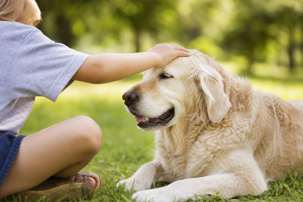 Parenting Tips of the Week: Teaching Compassion by Being Kind to Animals 15 Be kind to animals, a child gently petting a friendly dog