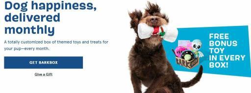 10 Lessons About Life I Learned from My Dog 8 dogbox