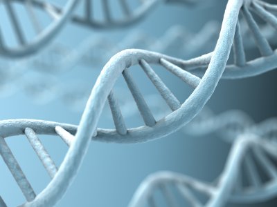 Is ADD/ADHD Genetic? 10 ADHD, DNA and genetics