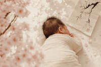 Japanese Baby Names: Meanings, Pronunciations, and the Story Behind the Kanji 1 Japanese baby names guide with kanji meaning cards and soft cherry blossom details