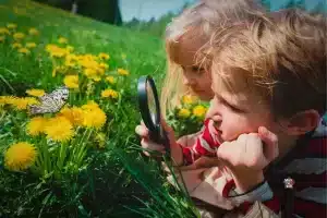 Howard Gardner's Theory of Multiple Intelligences: Unraveling the Potential in Every Child 17 Howard Gardner's Theory of Multiple Intelligences