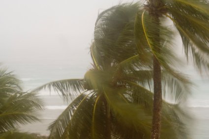 Natural Disasters - Is Your Family Prepared? 10 Is your family prepared for a natural disaster?